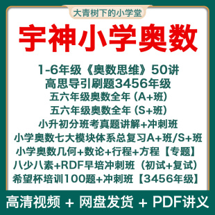 宇神老师小学奥数思维希望杯数学真题八少八素早培刷题班高思导引