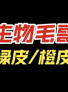 生物毛哥绿皮易错橙皮人教版问题全解笔记本（2026版新链接）