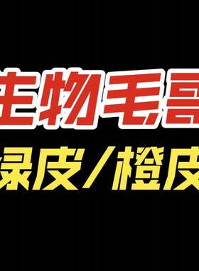 生物毛哥绿皮易错橙皮人教版全解笔记本（2027版7月敬请期待）