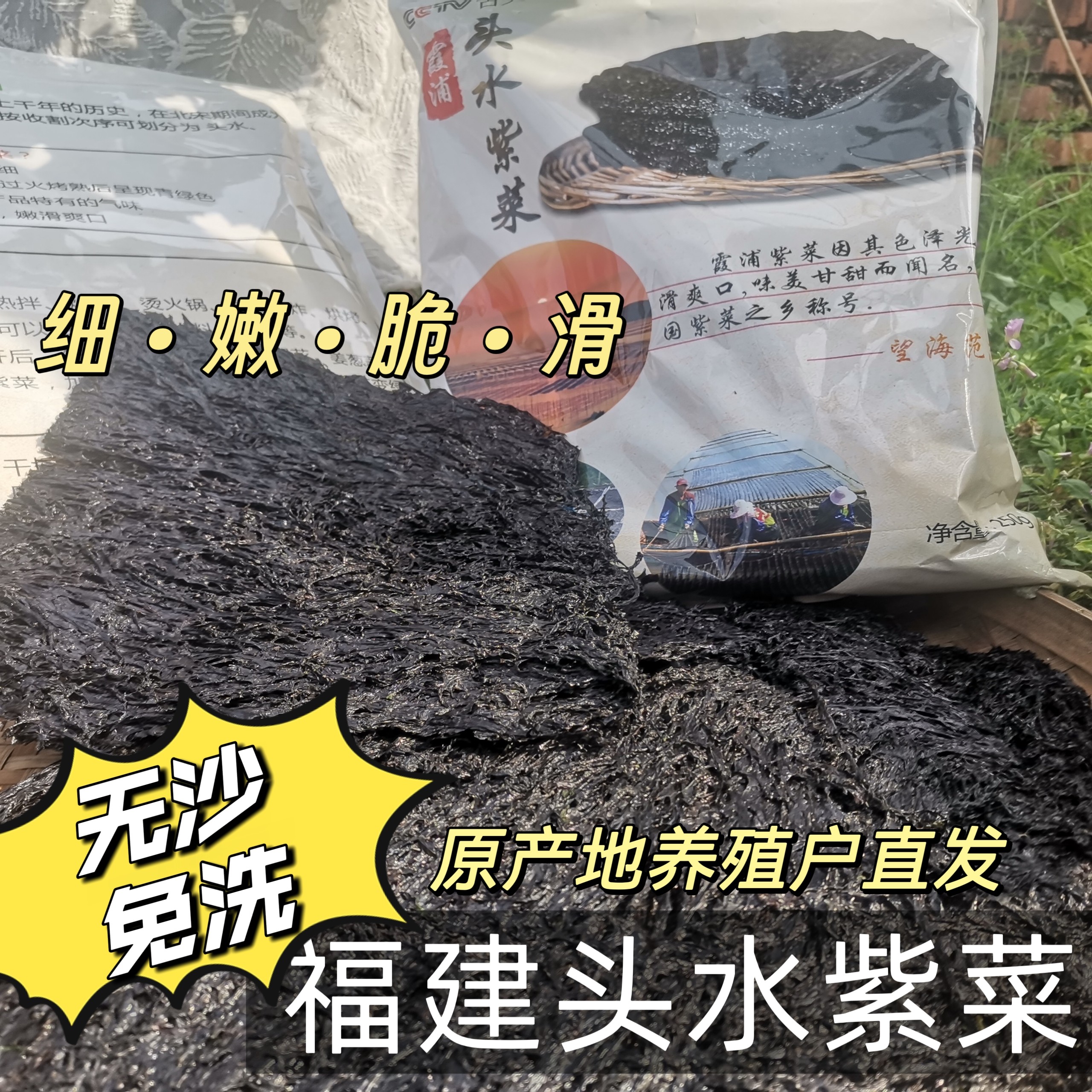 霞浦头水紫菜500g一斤装干货特级免洗无沙凉拌紫菜汤减脂新货