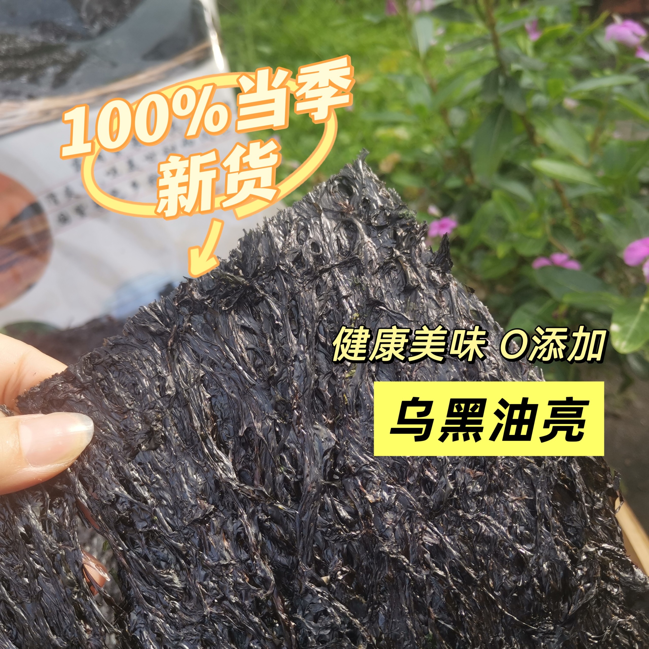 福建头水紫菜批发免洗无沙特级头茬紫菜汤商用酒店快餐店供货5斤
