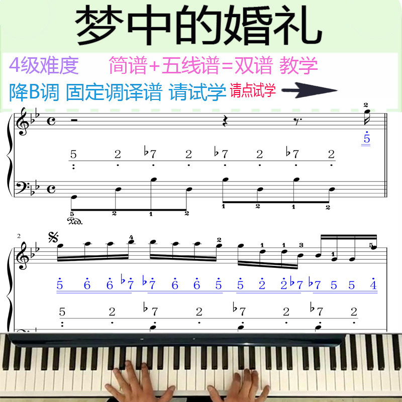 特价梦中的婚礼钢琴电子琴教学视频教程好听流行歌曲五线谱简谱