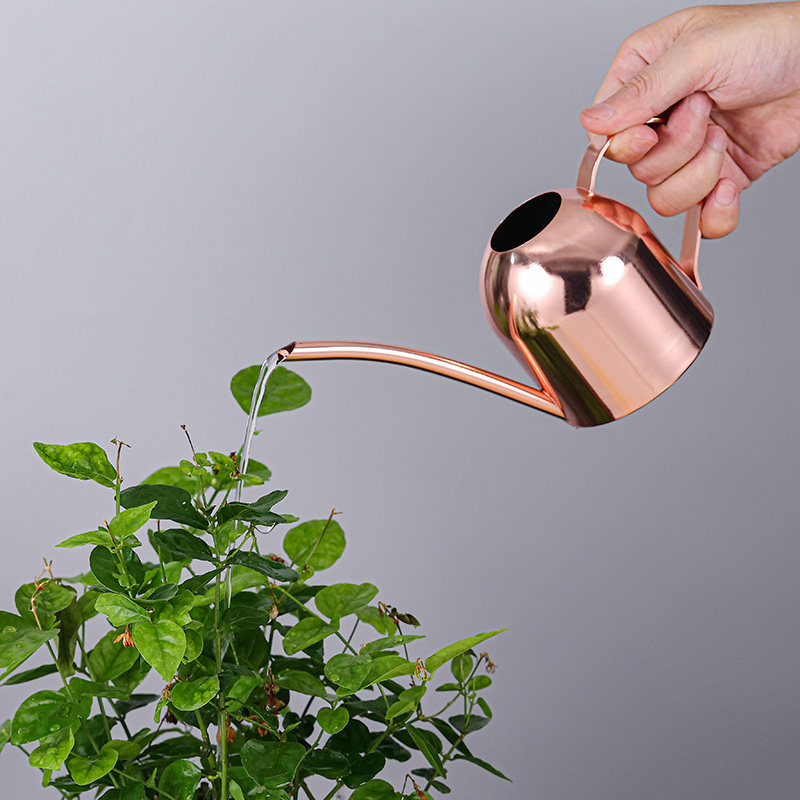 不锈钢浇花喷壶迷你金属家用长嘴金色养花洒水壶儿童小多肉淋花壶