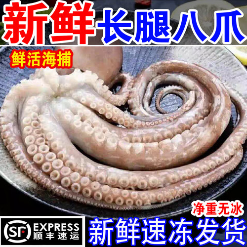 超大长腿八爪鱼新鲜活大章鱼