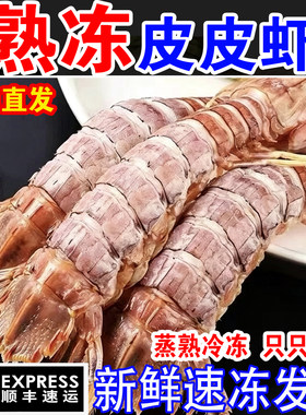皮皮虾熟冻带膏皮皮虾母商用速冻冷冻皮皮虾特大虾婆虾爬子海鲜
