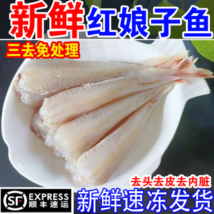 新鲜红娘鱼红娘子鱼无头鱼冷冻红鱼红头鱼已去头去皮去内脏免处理