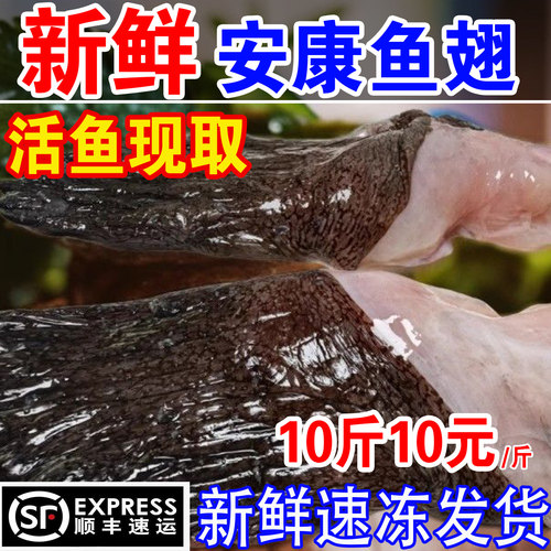 新鲜安康鱼翅膀冷冻鱼翅鱼鳍安康鱼鲜活深海鱼翅海鲜水产整箱批发
