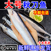 秋刀鱼新鲜冷冻商用整箱特大号烧烤料理海鲜水产鲜活深海鱼4斤装