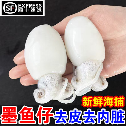 墨鱼仔新鲜冷冻大个去皮小墨鱼迷你小墨鱼鲜活捞汁小海鲜商用批发