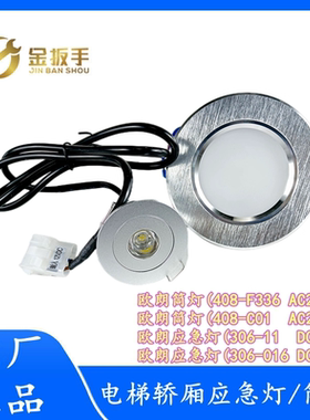 原装杭州西奥电梯轿厢应急灯306-11 圆筒灯408-C 应急照明306-016