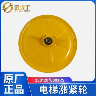 原装电梯涨紧轮250*20*6003RS涨紧装置 奥的斯/杭西奥/奥德普配件