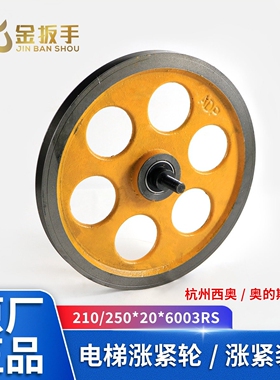 杭州西奥/奥的斯电梯涨紧轮210/250*20*6003RS三菱涨紧装置限速器