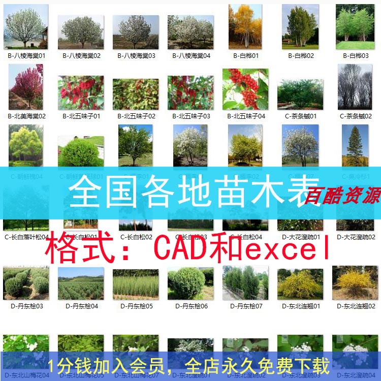 全国各地苗木表cad苗木表excel苗木表全国苗木选型标准图苗木配置图片