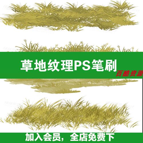 91草地纹理PS笔刷procreate景观设计地被效果分析图草坪特效素材