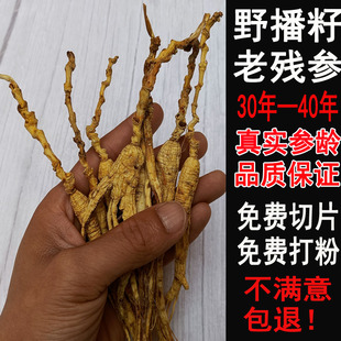 野山参30年野生人参东北长白山林下参林下籽老池底子残参干参人参