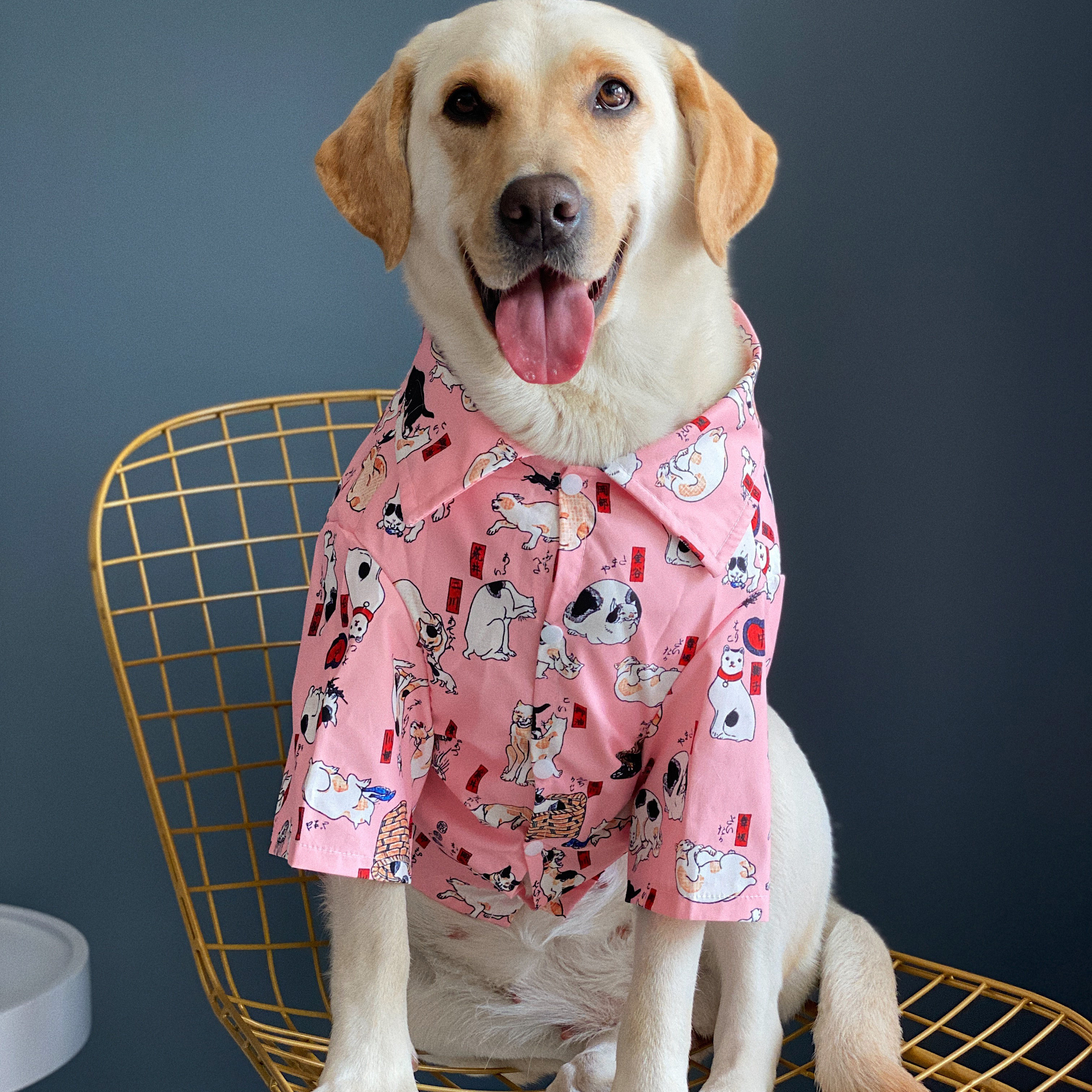 宠物狗狗大型犬衣服 粉色沙滩衬衫 夏季薄款防晒金毛萨摩拉布拉多