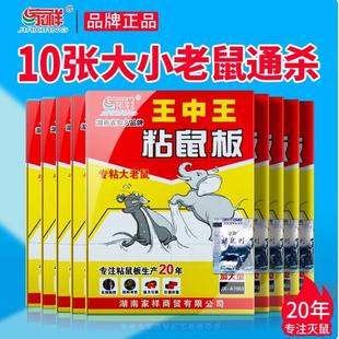 家祥王中王超强力粘鼠板捉抓粘大老鼠贴沾胶10张家祥黑老大老鼠板