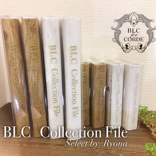 日本BLC田边老师 木纹高级美甲作品收纳相册 日式美甲甲片展示册