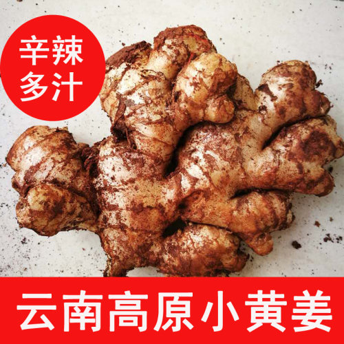 新鲜无硫熏生母2斤包邮小黄姜