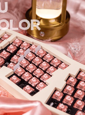 WJBY Lab苏彩轴R2粉（紫色移步另一链接