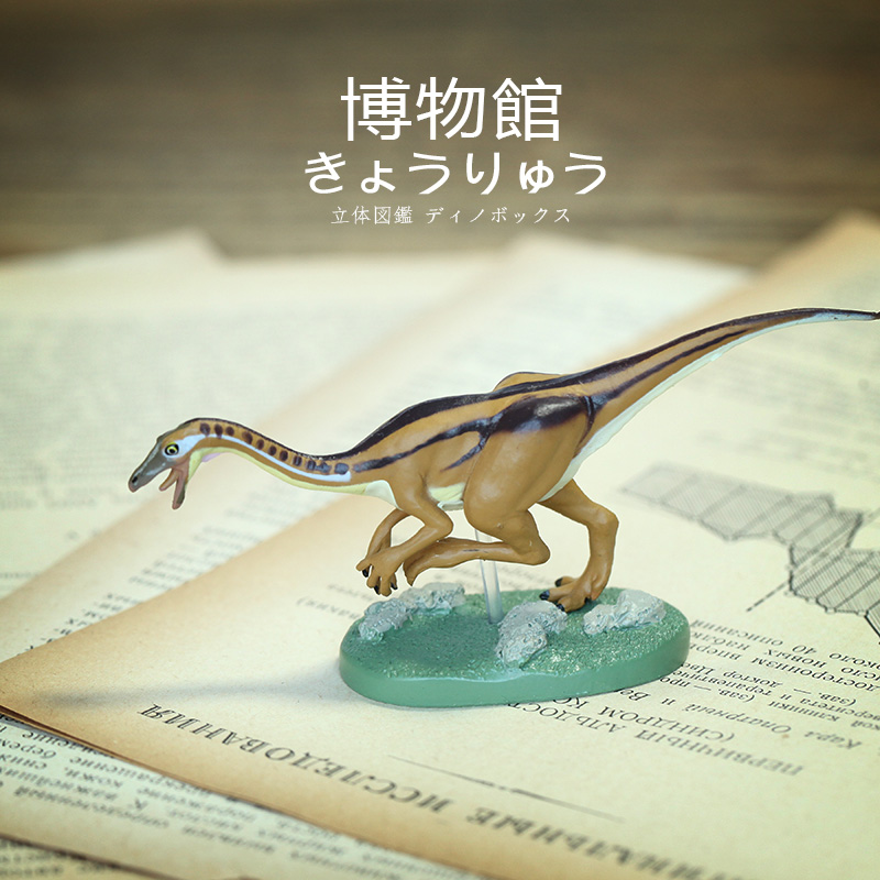 COLORATA蝴蝶社似鸟龙模型博物馆