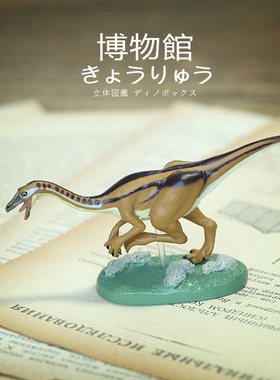 Colorata日本蝴蝶社似鸟龙模型博物馆恐龙玩具收藏藏品旅游带回