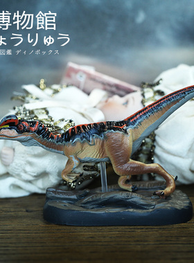 Colorata日本蝴蝶社双冠龙模型博物馆恐龙玩具收藏藏品旅游带回