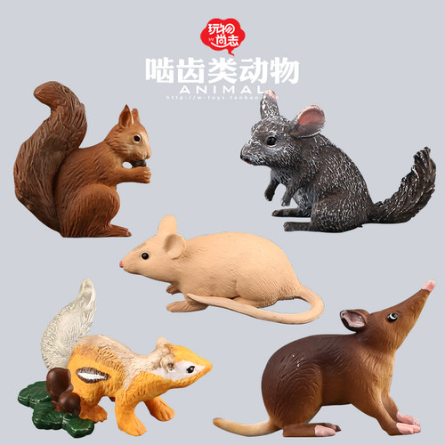 玩物尚志啮齿类动物玩具金花鼠