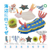 散货 NTC原色图鉴浅海生物海兔海星珊瑚日本正版 奇谭俱乐部 Kitan