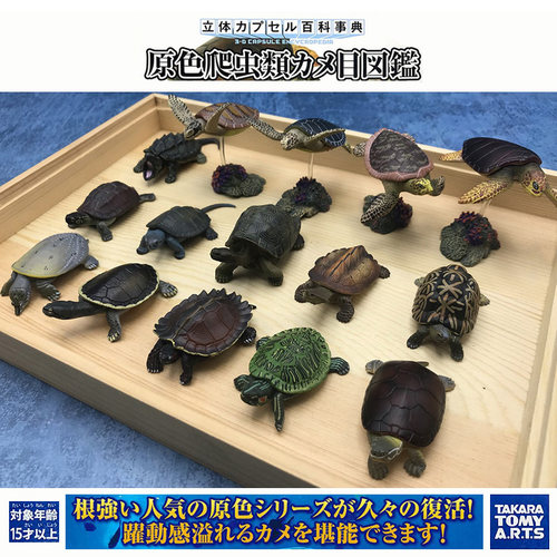 Tomy日本正版散货立体百科乌龟