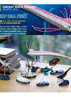 Colorata日本蝴蝶社原装正品博物馆收藏模型深海鱼恐怖怪物皇带鱼