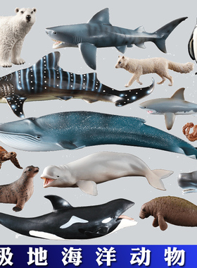 正版全新仿真动物模型玩具海洋动物海豚海龟鲸鱼鲨鱼