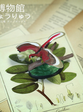 Colorata日本蝴蝶社始祖鸟模型博物馆恐龙玩具收藏藏品旅游带回