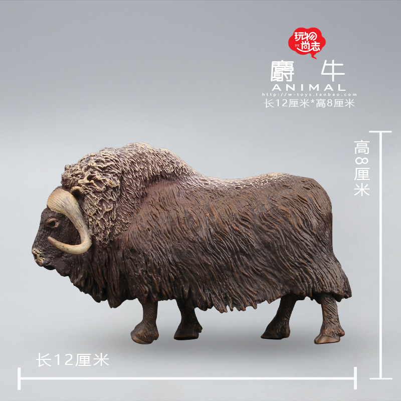 尚志麝香牛北极儿童认知仿真动物