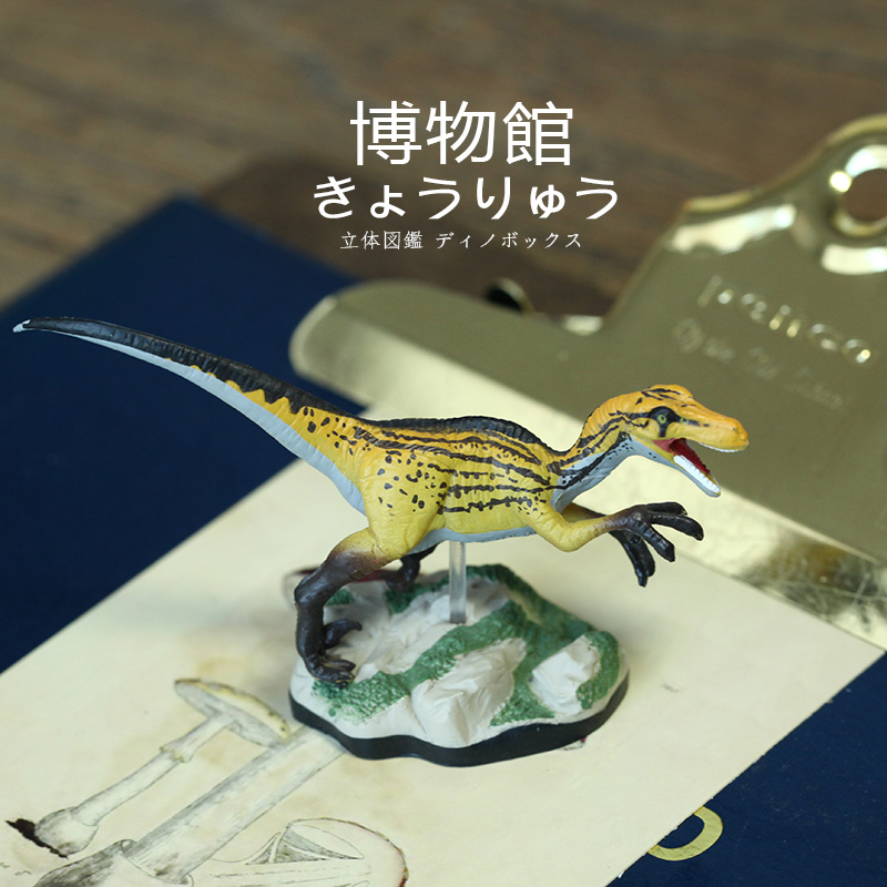 COLORATA恐龙玩具收藏