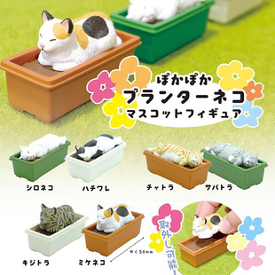 Quali日本正版散货 可取式 猫咪懒睡花盆 睡着的猫咪盆栽 猫模型