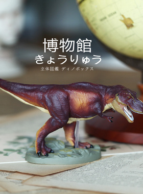 Colorata日本蝴蝶社霸王龙模型博物馆恐龙玩具收藏藏品旅游带回G1