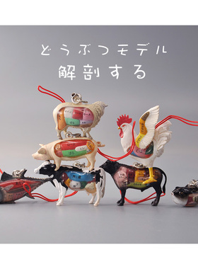 Yujin日本正版散货 动物解剖图鉴 t-arts百科事典 模型挂件吊饰