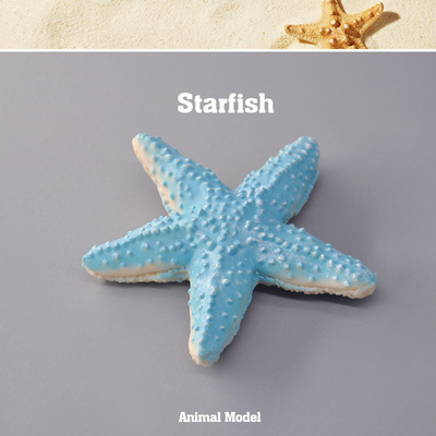 海洋小兰海星男孩儿童玩具