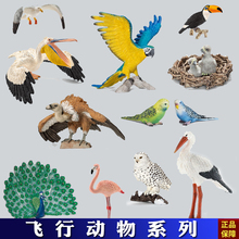 全新散货仿真动物模型套装 出口正版 玩具飞禽鸟类老鹰鹦鹉鸮孔雀