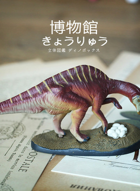 Colorata日本蝴蝶社慈母龙模型博物馆恐龙玩具收藏藏品旅游带回