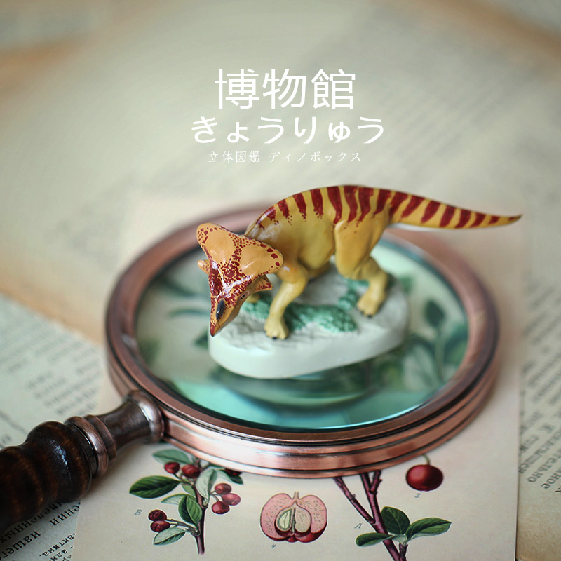 日本蝴蝶模型博物馆恐龙玩具