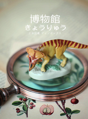 Colorata日本蝴蝶社原角龙模型博物馆恐龙玩具收藏藏品旅游带回