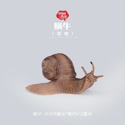 尚志蜗牛模型儿童益智野生动物