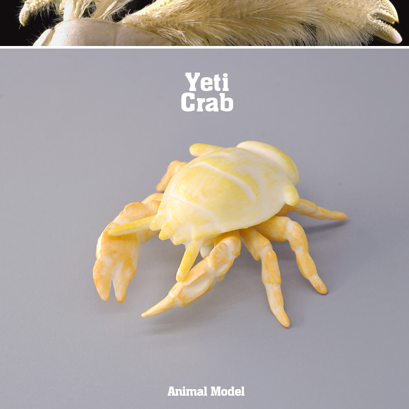 外单正品 正版仿真动物模型 海洋雪人蟹海螃蟹  男孩儿童玩具