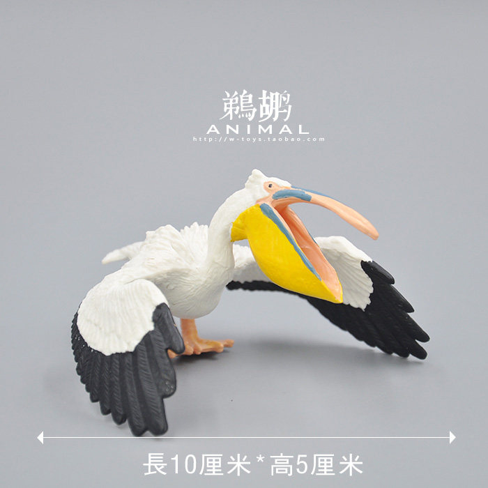 鸟类动物玩具模型 鹈鹕