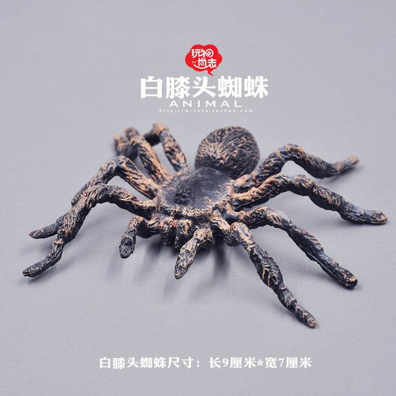 动物模型玩具 白膝头蜘蛛