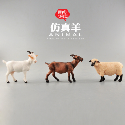 模型玩具母羊儿童认知益智动物