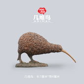 动物模型玩具 几维鸟