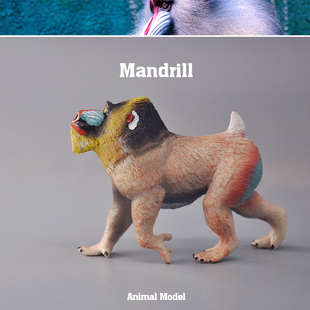 外单正品 正版仿真动物模型 非洲山魈 男孩儿童玩具